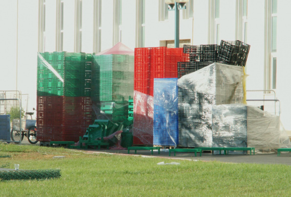 the_embarrassment_of_plants-02