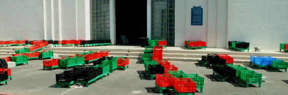 the_embarrassment_of_plants-03