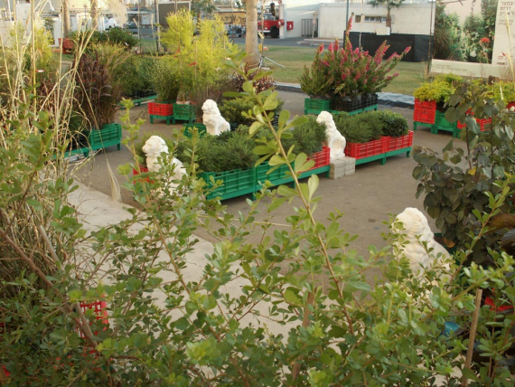 the_embarrassment_of_plants-07