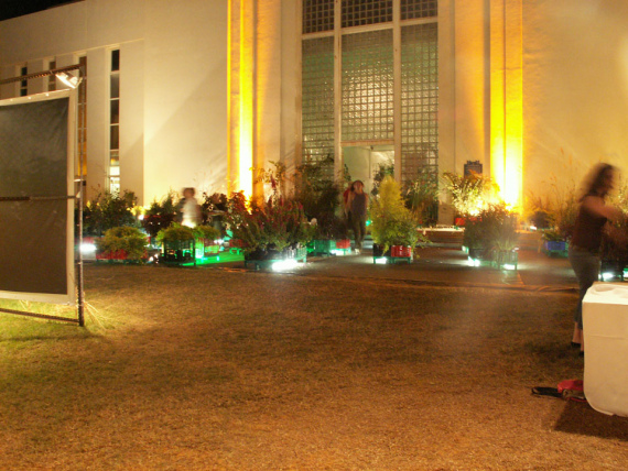 the_embarrassment_of_plants-10