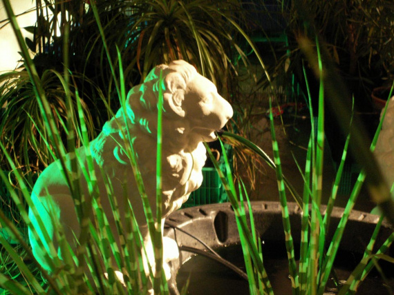 the_embarrassment_of_plants-11