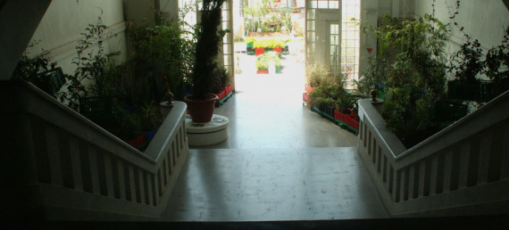 the_embarrassment_of_plants-15