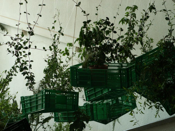 the_embarrassment_of_plants-19