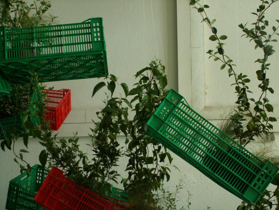 the_embarrassment_of_plants-21