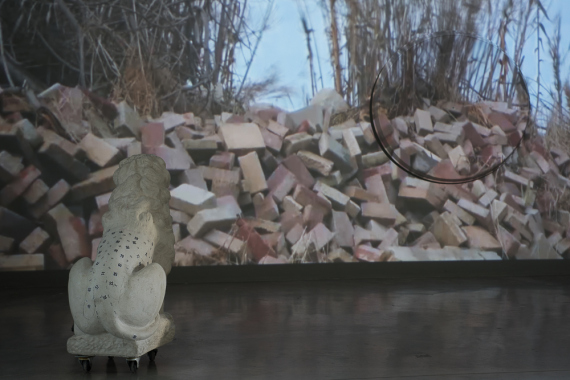 DSC_2514_small_untouched