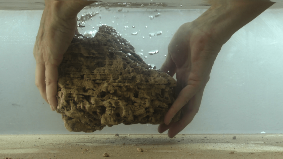 vlcsnap-2019-09-08-17h21m39s643-min