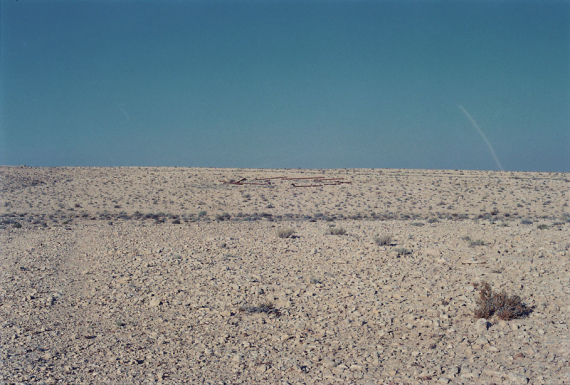 al_m_r-01