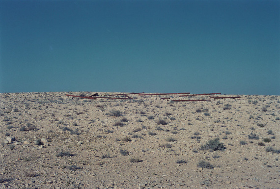 al_m_r-02