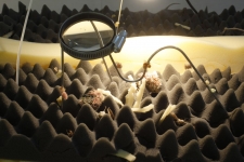 also_compasses-21