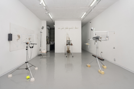 Relli-De-Vries_Soil-Drifting-and-Plant-Movement_01