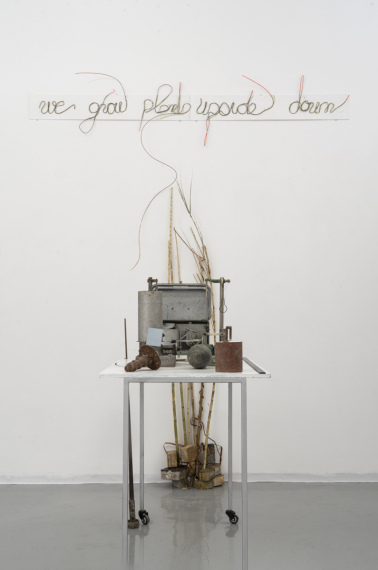 Relli-De-Vries_Soil-Drifting-and-Plant-Movement_15