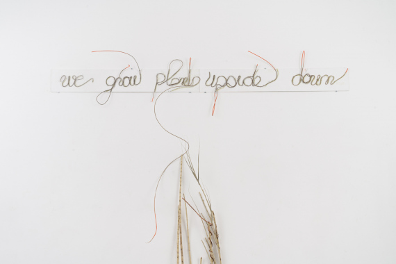 Relli-De-Vries_Soil-Drifting-and-Plant-Movement_16