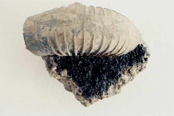 reconstruction-12