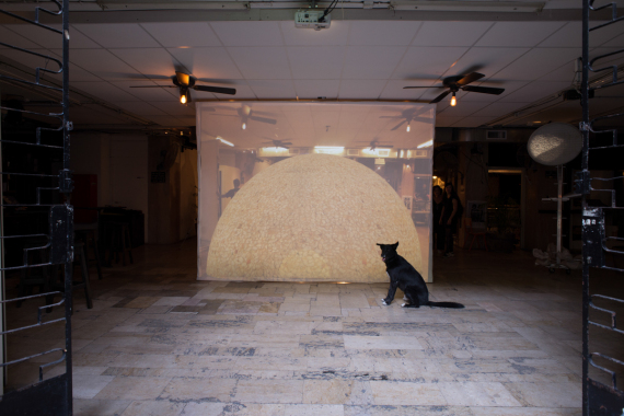 The Bent Plane  -  צילום יובל חי