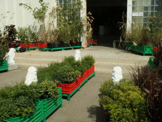 the_embarrassment_of_plants-05