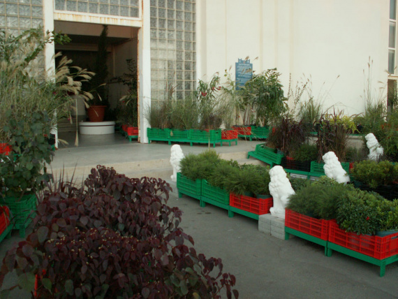 the_embarrassment_of_plants-06