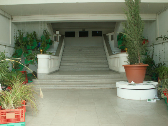 the_embarrassment_of_plants-08