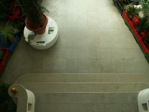 the_embarrassment_of_plants-16